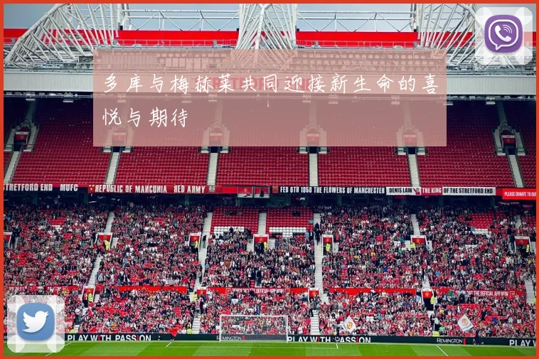 多库与梅赫莱共同迎接新生命的喜悦与期待